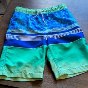 Lands' End Swim Trunks